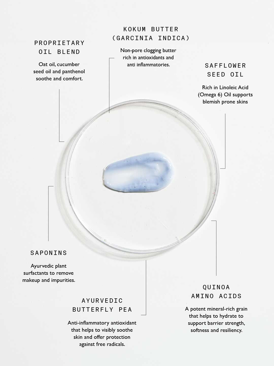 The Hydrate & Plump Gift Bundle