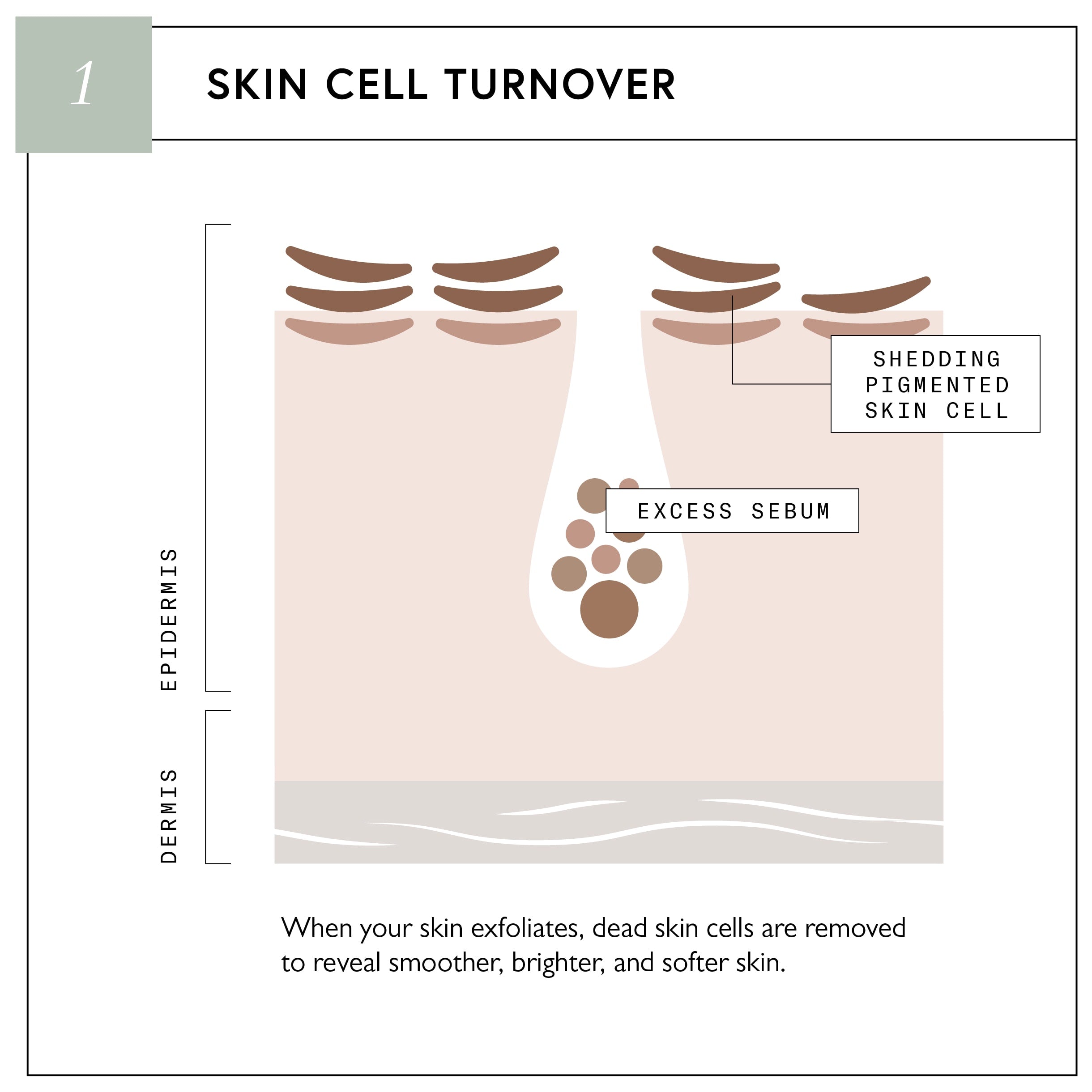 Complexion Clarifying Accelerator | Resurface & Brighten Complexion Clarifying Accelerator | Resurface & Brighten