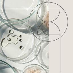 //sachiskin.com/cdn/shop/files/placeholder-type-1_small.png?v=3905341933728751030